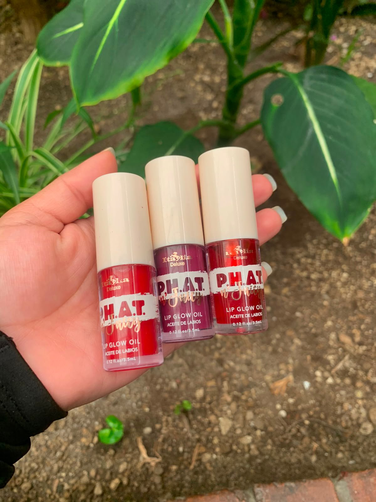 Glosses y labiales